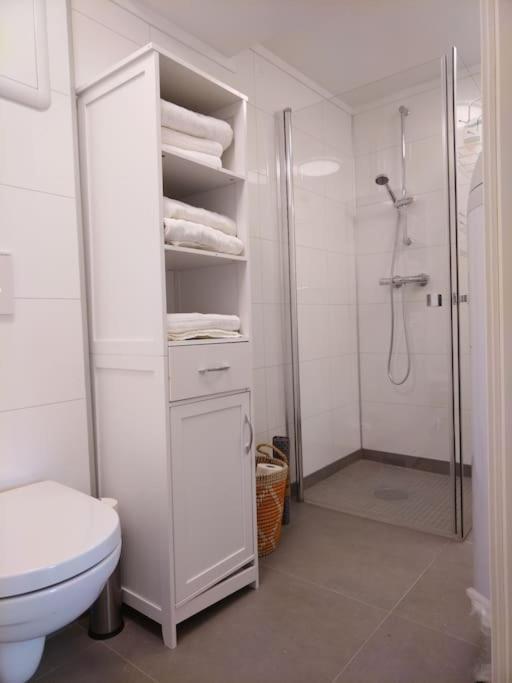 Apartment Kjellerleilighet I Fana Til Leie-med Gratis Parkering Og Mange Kollektiv Reisemuligheter Bergen